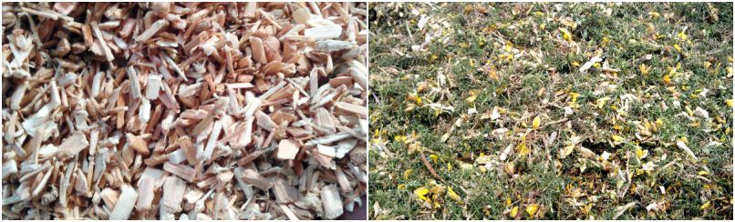 fuel pellet production raw materials - wood and grass wastes