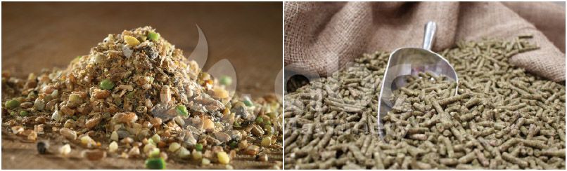 making livestock poultry feed pellets in industrial scale