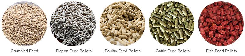 manufacturing poultry feed mash, feed pellets