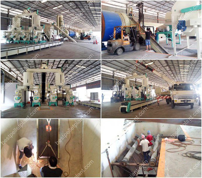 production line of biomass palm pellets