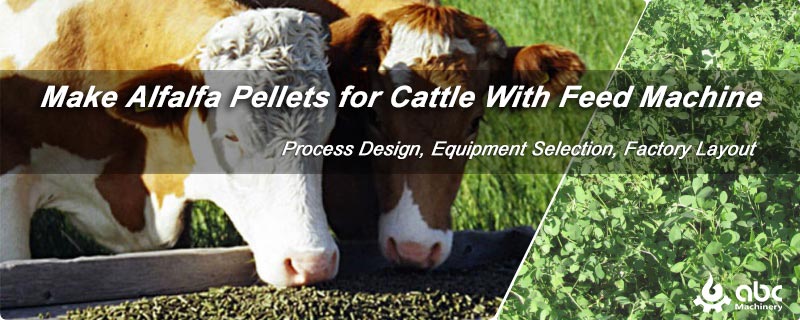 how to make alfalfa hay pellets for cattle feed