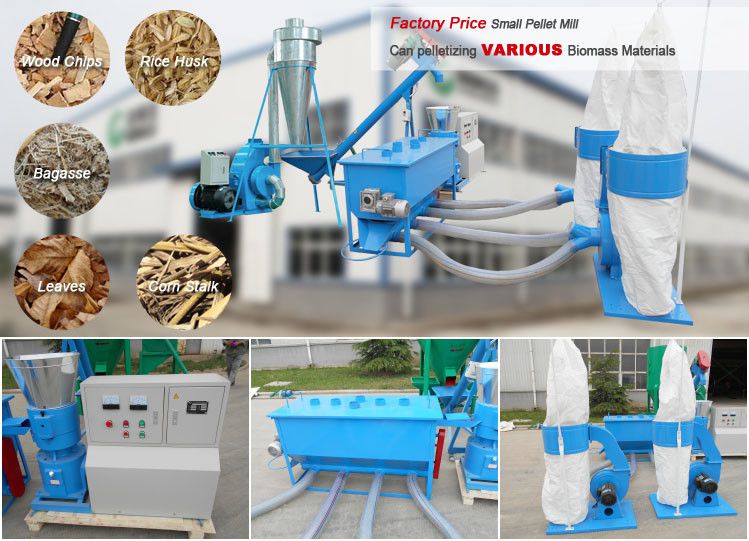 Factory price small Biomass Pellet Machine for sale, lead supplier
